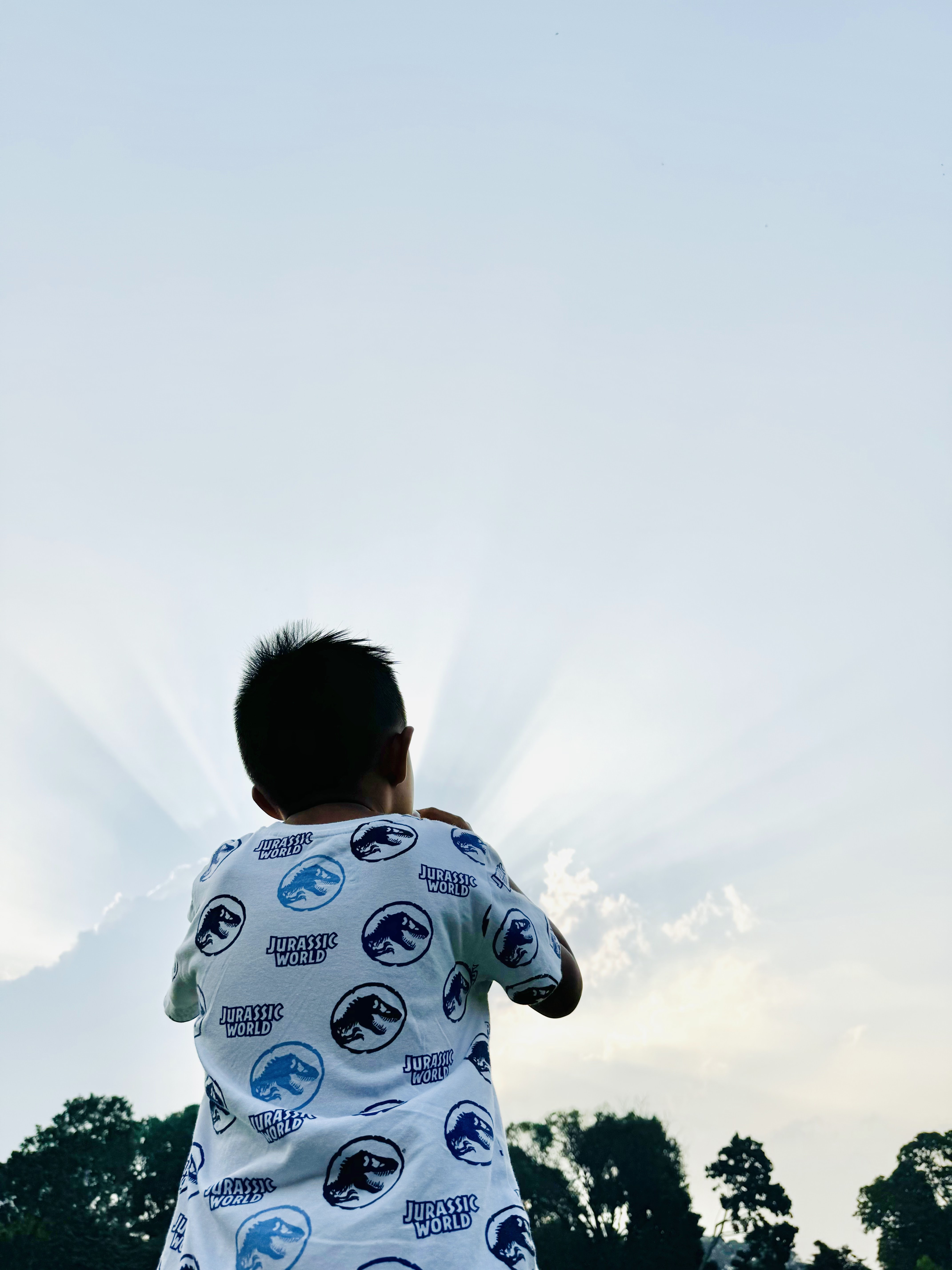A young boy in a Jurassic World t-shirt, seen from behind, watching dramatic crepuscular light rays fan out through clouds above the treeline.